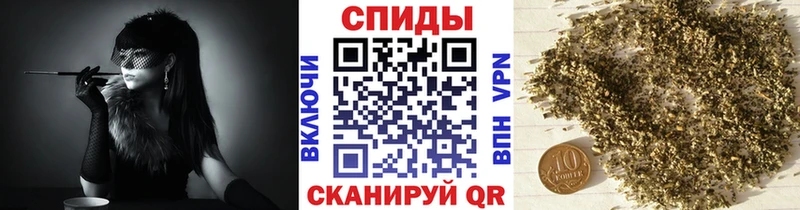 как найти Чернушка Бутират буратино