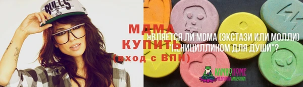 ешки Алексин