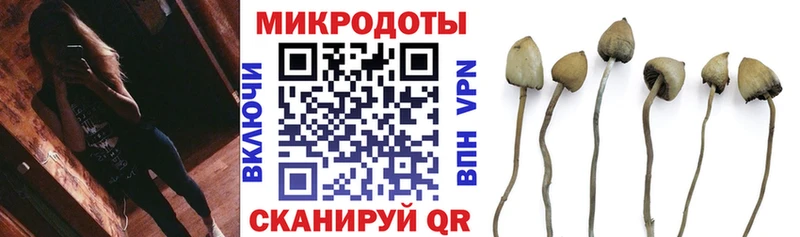 Галлюциногенные грибы мухоморы  Чернушка 