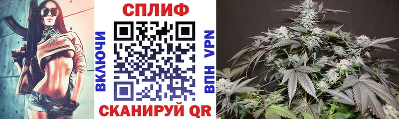 Конопля White Widow  МЕГА ССЫЛКА  Чернушка 